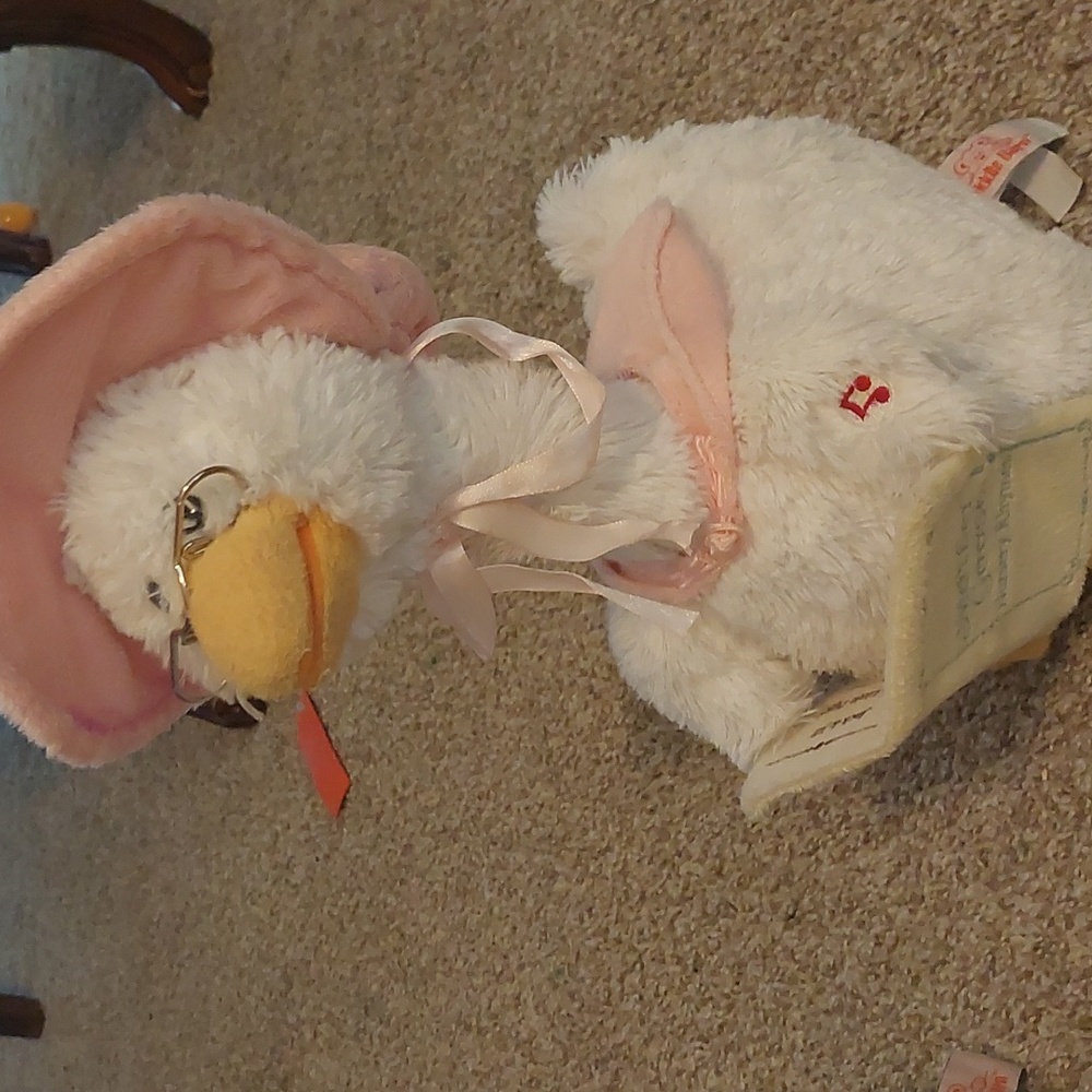 Pink Mother goose (Mouth Is Not Working)